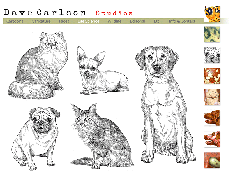 dog cat illustration